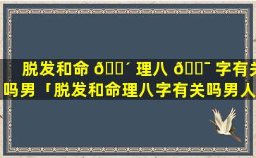 脱发和命 🐴 理八 🐯 字有关吗男「脱发和命理八字有关吗男人」